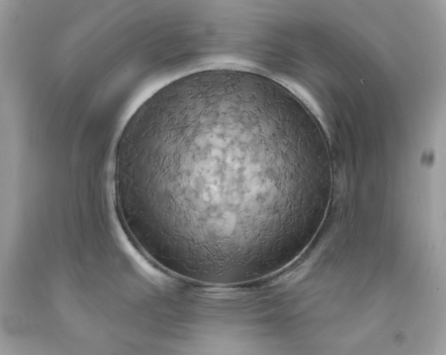 X0000091581391200709051051