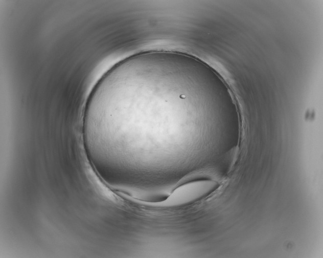 X0000091581392200709051051