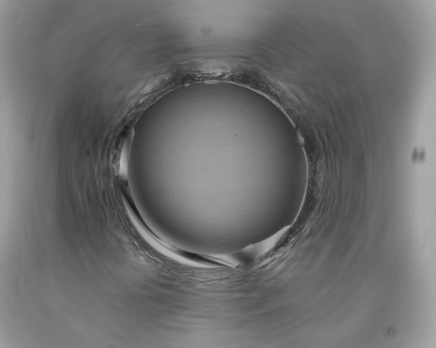 X0000091581394200709051050