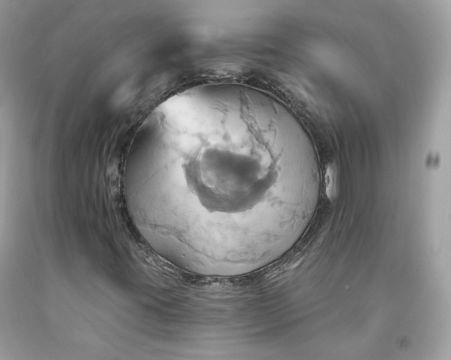 X0000091581395200709051050