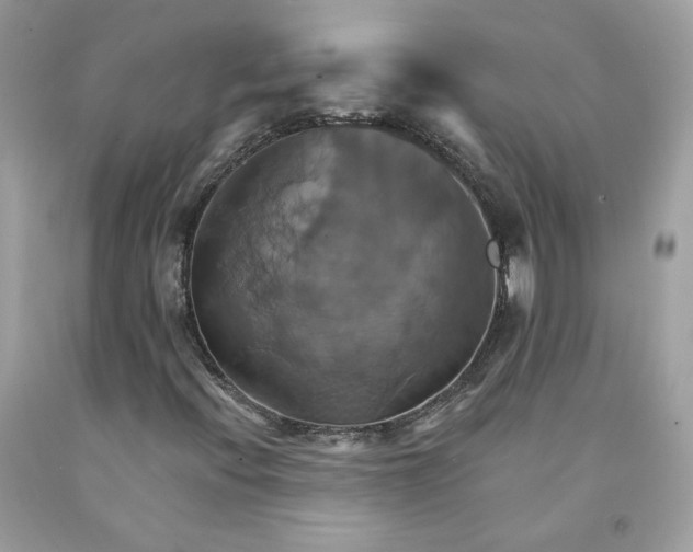X0000091581396200709051050