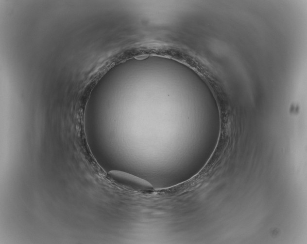 X0000091581397200709051050