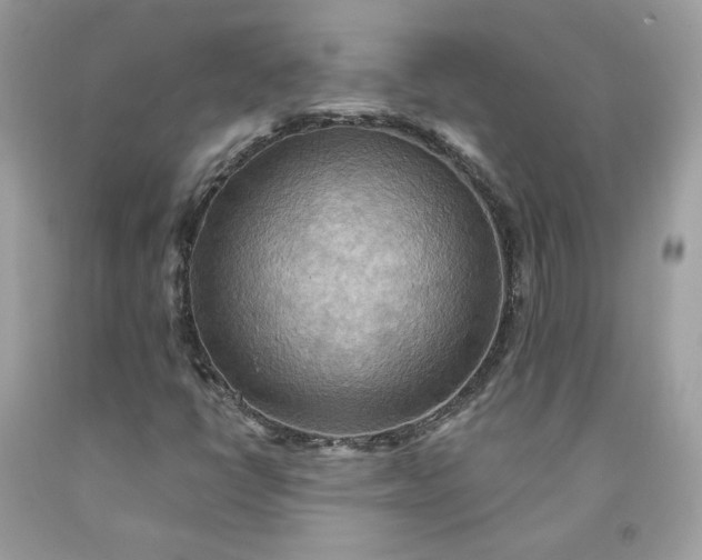 X0000091581398200709051050