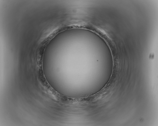 X0000091581399200709051050