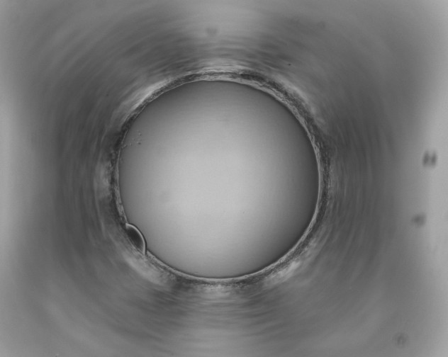 X0000091581401200709051050