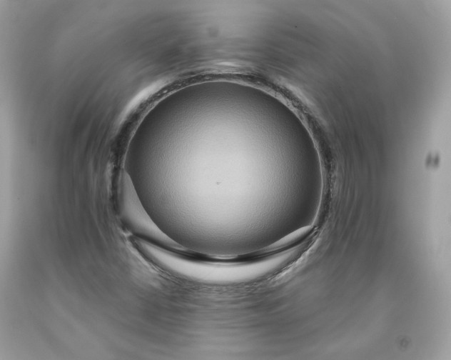 X0000091581402200709051050