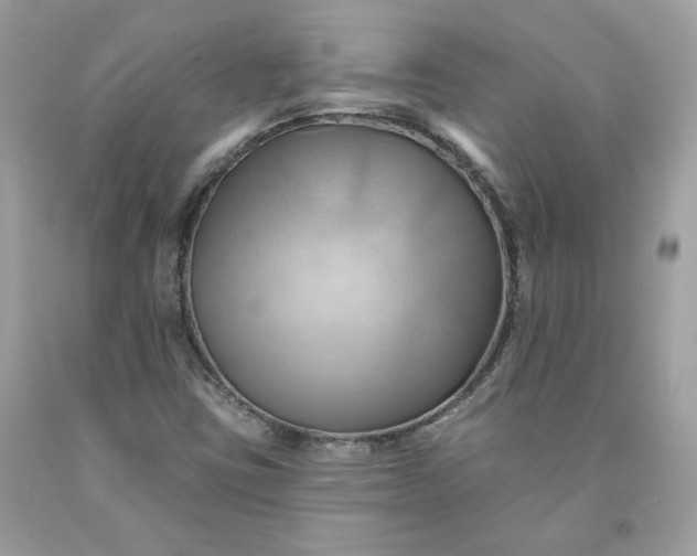 X0000091581403200709051050
