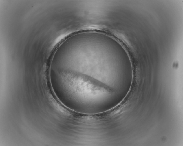 X0000091581404200709051050