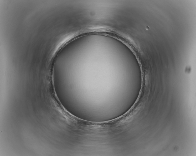 X0000091581405200709051050