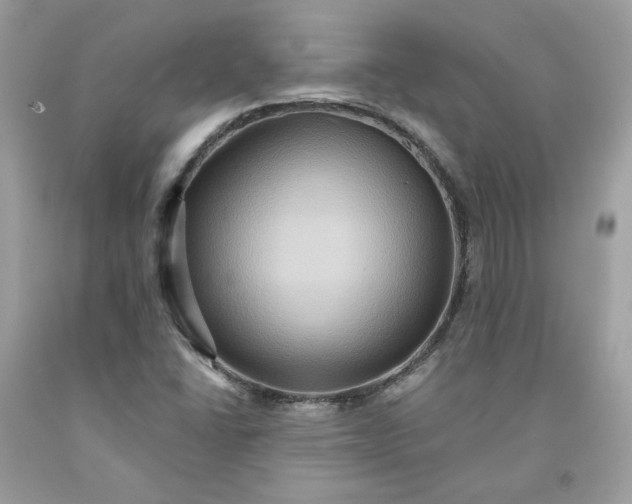 X0000091581406200709051050