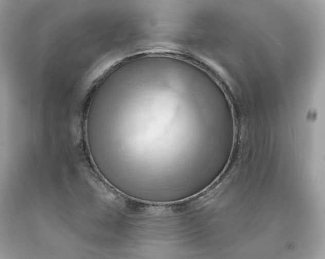 X0000091581407200709051050