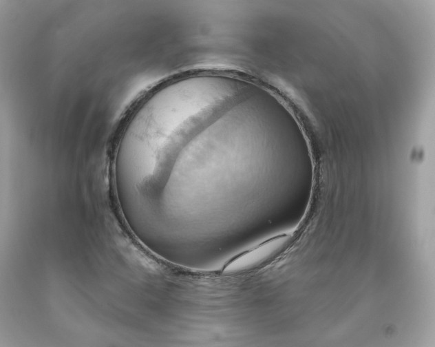 X0000091581408200709051050