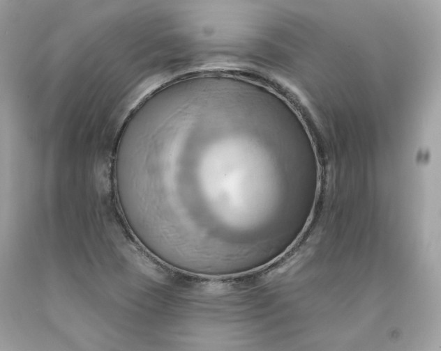 X0000091581409200709051050