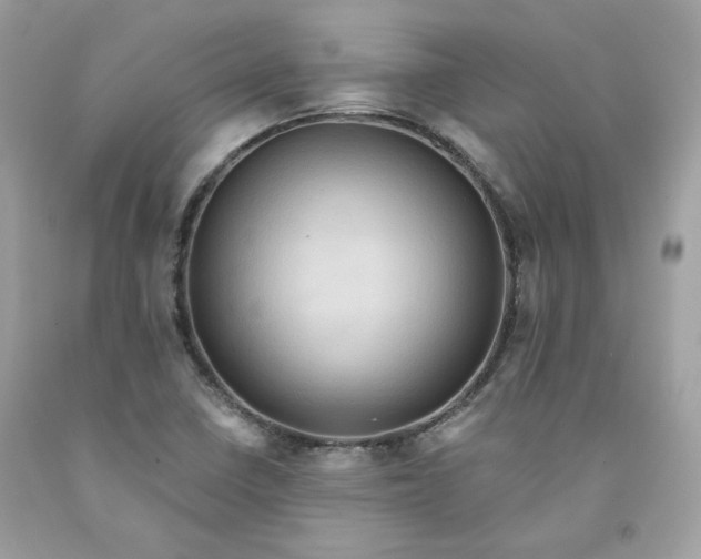 X0000091581410200709051050