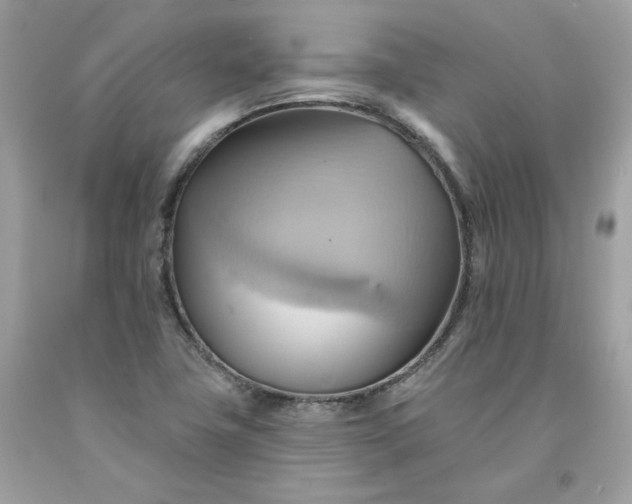 X0000091581411200709051050