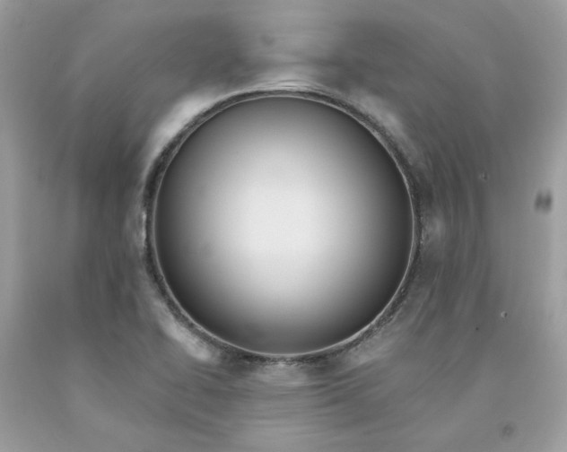 X0000091581414200709051050
