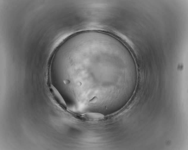 X0000091581415200709051050