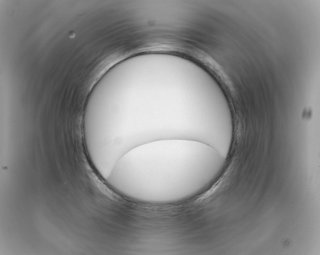 X0000091581417200709051051
