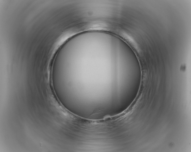 X0000091581419200709051051