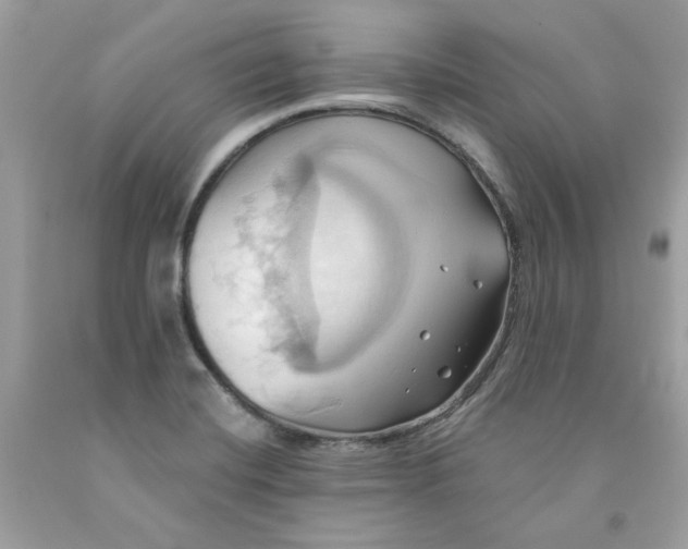 X0000091581420200709051051