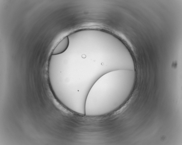 X0000091581421200709051051