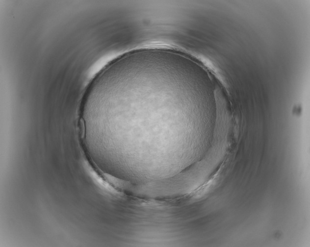 X0000091581422200709051051