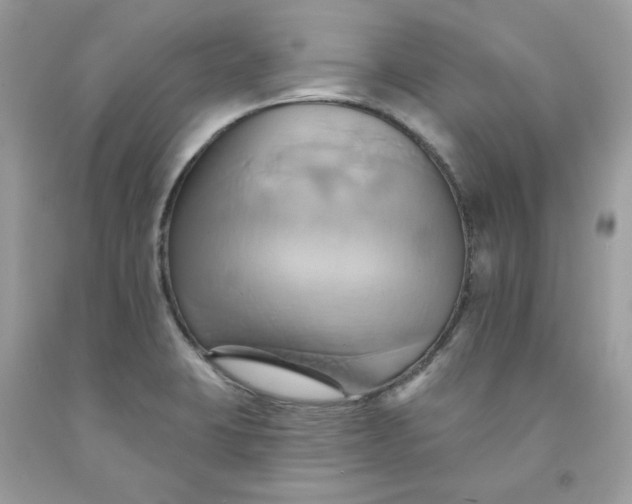 X0000091581423200709051051