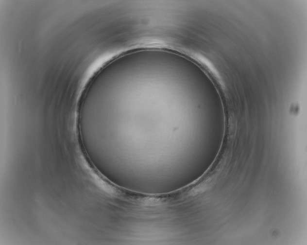X0000091581424200709051051
