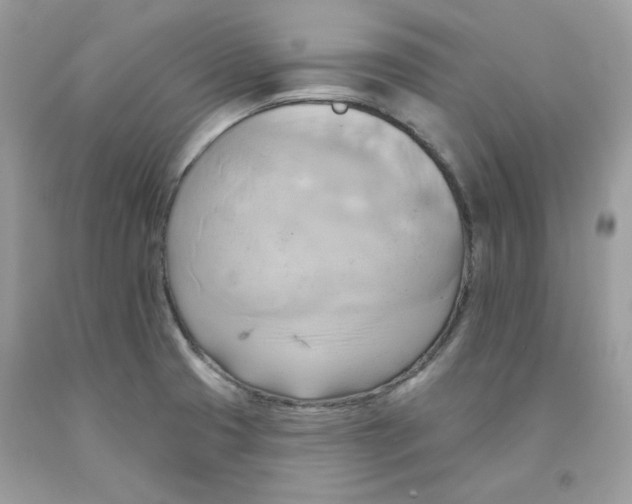X0000091581425200709051051