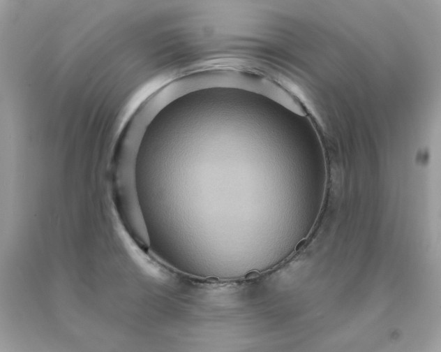 X0000091581426200709051051