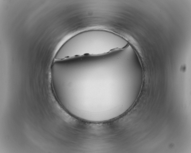 X0000091581428200709051051
