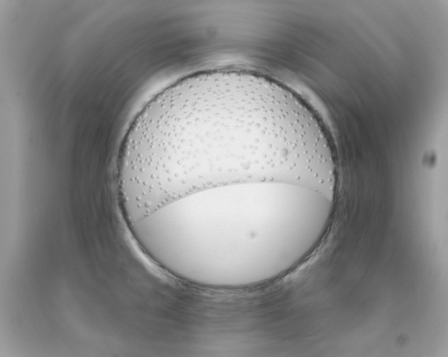 X0000091581429200709051051