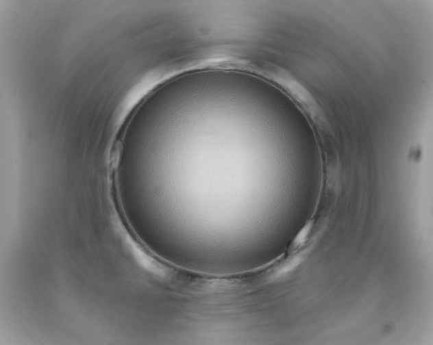 X0000091581430200709051051