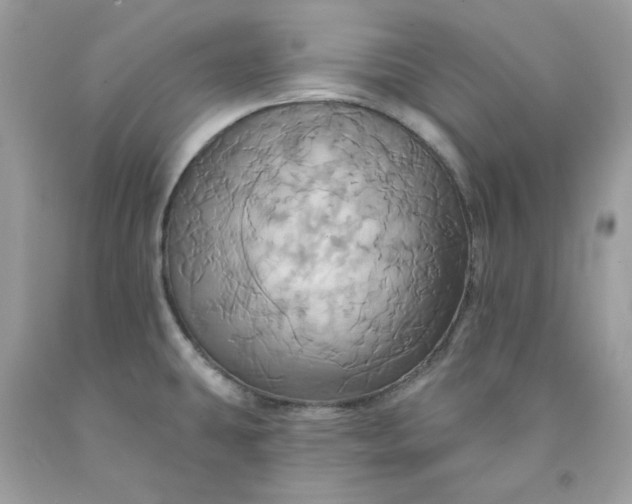 X0000091581431200709051051