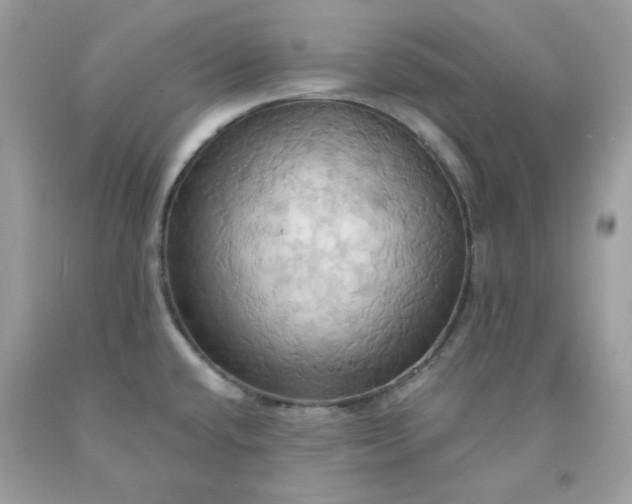 X0000091581432200709051051