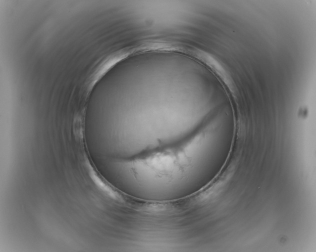 X0000091581433200709051051