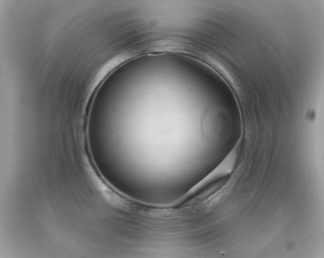 X0000091581434200709051051