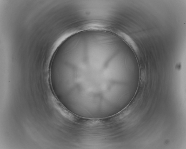 X0000091581435200709051051