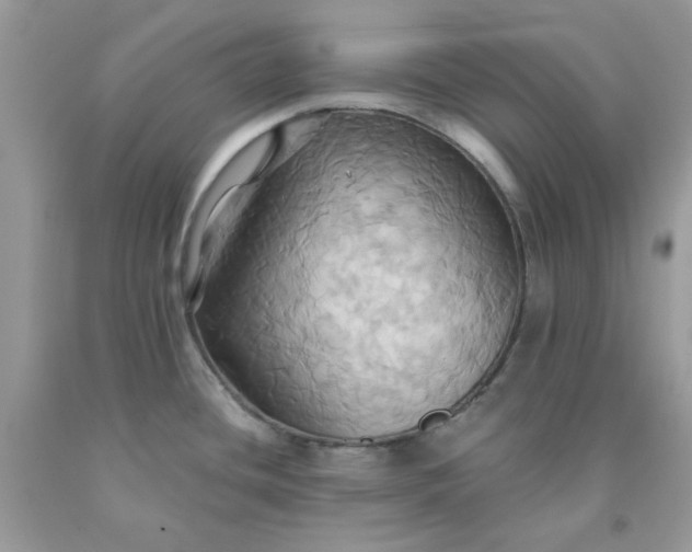 X0000091581436200709051051