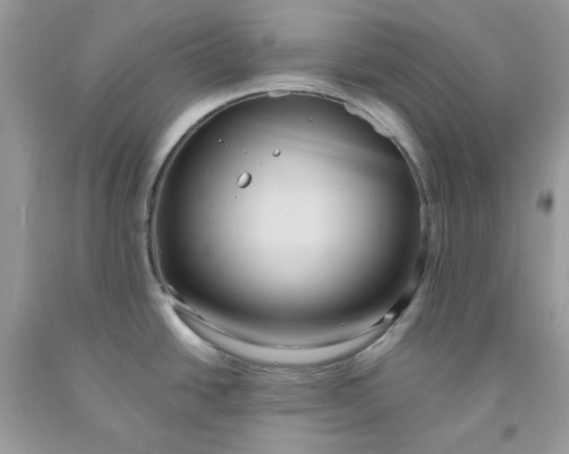 X0000091581438200709051051