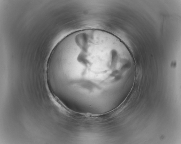 X0000091581439200709051051