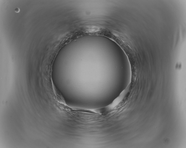 X0000091581441200709051050