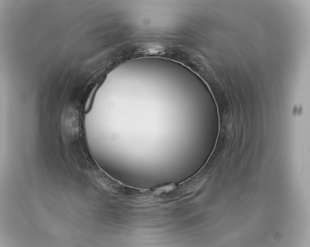 X0000091581442200709051050