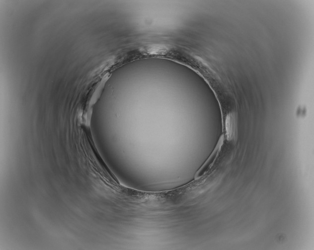X0000091581443200709051050