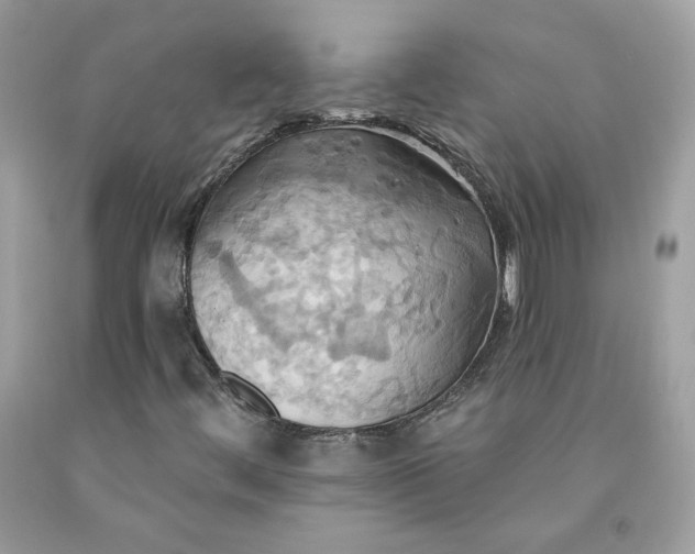 X0000091581444200709051050