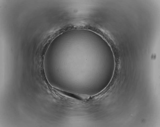 X0000091581445200709051050