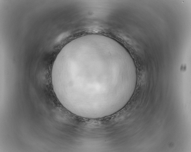 X0000091581446200709051050