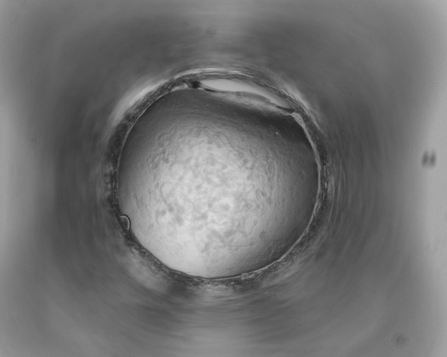 X0000091581448200709051050