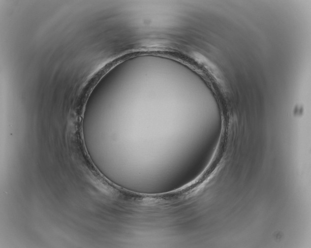 X0000091581449200709051050