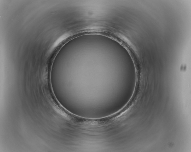 X0000091581450200709051050